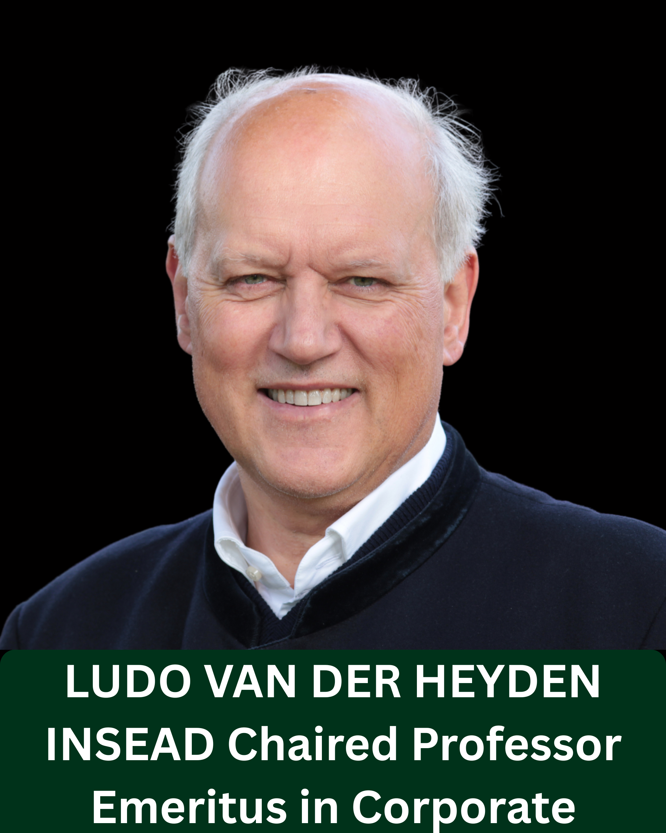 Ludo Van Der Heyden
